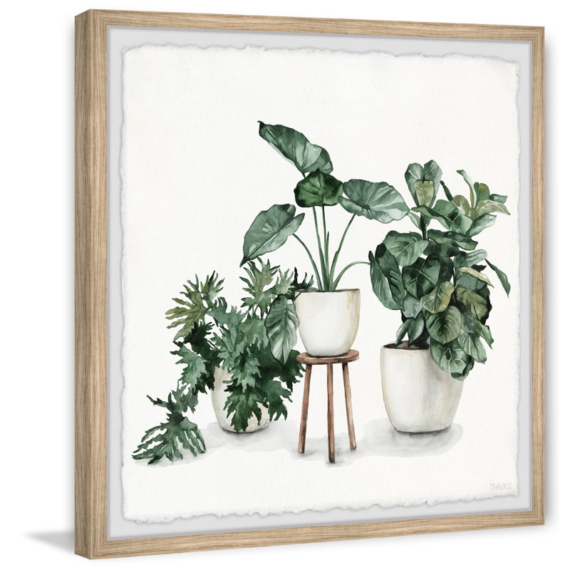 Indoor Blooming Garden by Parvez Taj - Single Picture Frame Painting, 30cm H x 30cm W