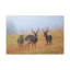 No Frame Print on Canvas-2022310185