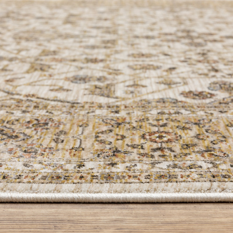 Atherine Oriental Indoor Rug, Rectangle 3'3" x 5'