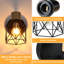 Baxlee Armed Sconce