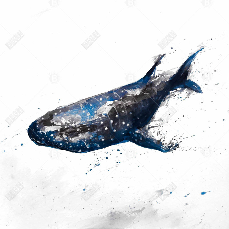 " Abstract Whale Shark "