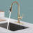 GAWEZA Pull Down Kitchen Faucet-93495161
