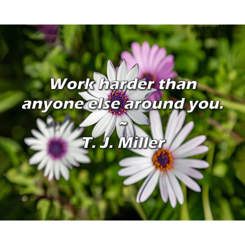 Citation de T. J. Miller: Travaillez plus fort que quiconque autour de vous., H 26 po x l 32 po