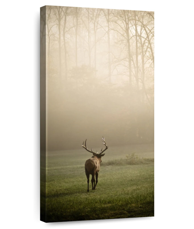 Follow The Elk