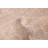 Elysian  Khaki Rug 7'11" x 10'0"