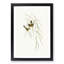 Lineated Warbler by Elizabeth Gould - Picture Frame Painting Print-55580768-55580772