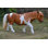 Animals Weather Resistant Water Resistant UV Resistant Polyresin Garden Statue