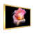 Gold Picture Frame