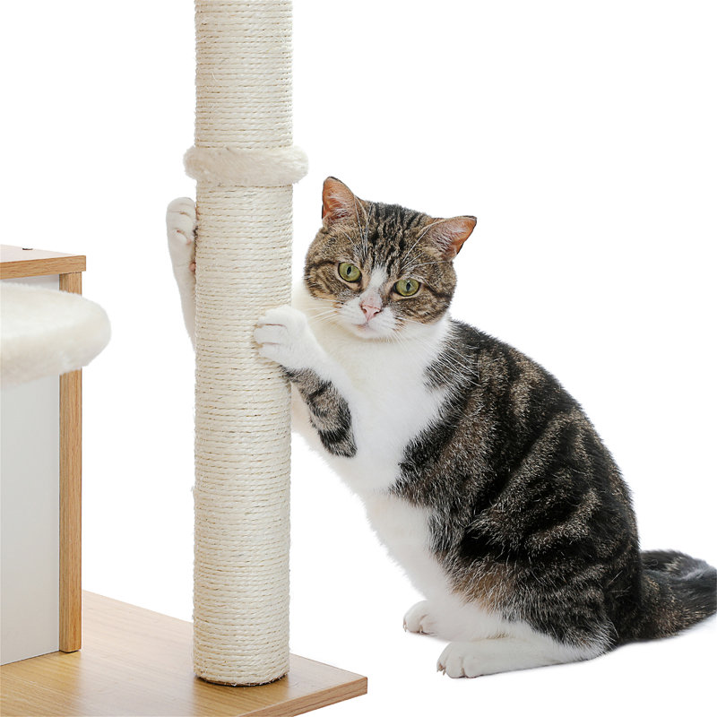 Arbre à chat
