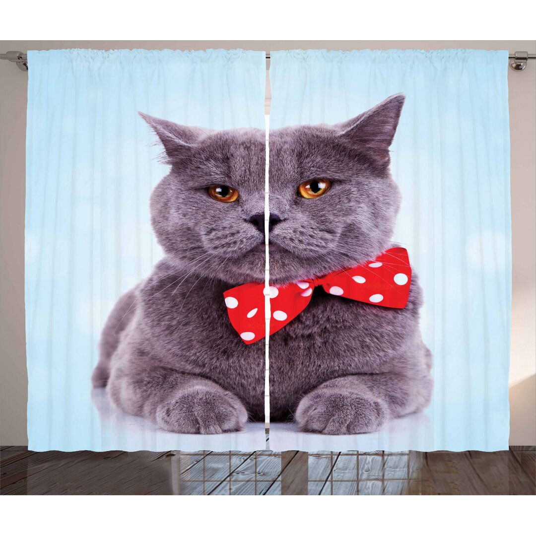 Rustikaler Vorhang, Grau Scottish Fold Theme, Katze, Hellblau Lila Blau