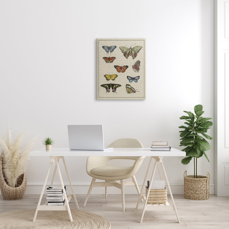 Vintage Butterfly Study Over Muted Cursive Script Canvas Art