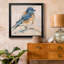 Variété d'oiseaux III - reproduction de cadre photo sur toile-200930870-200930866