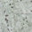 Kashmir White