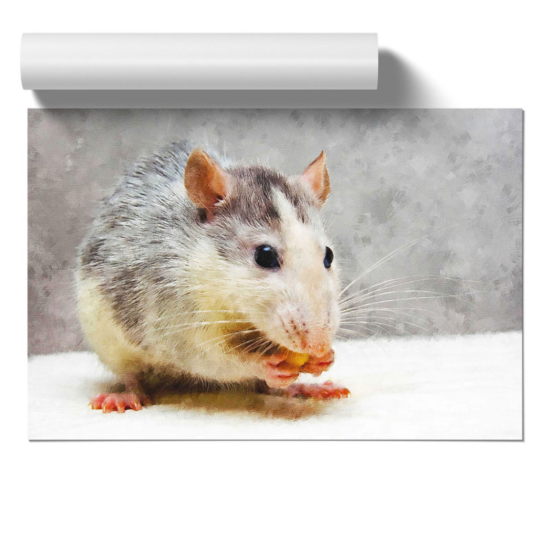 Rat Painting - Frameless Print, 21cm H x 30cm W x 0.1cm D