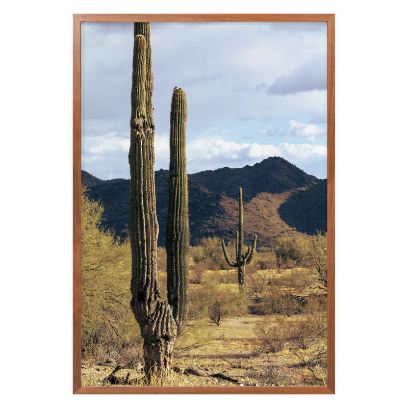 Buckeye, Arizona 5 Print by August Studios