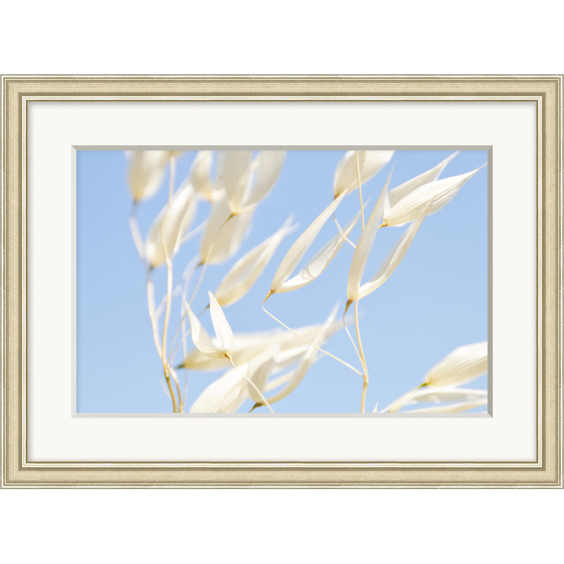 Chuchotement - Photographie sur papier