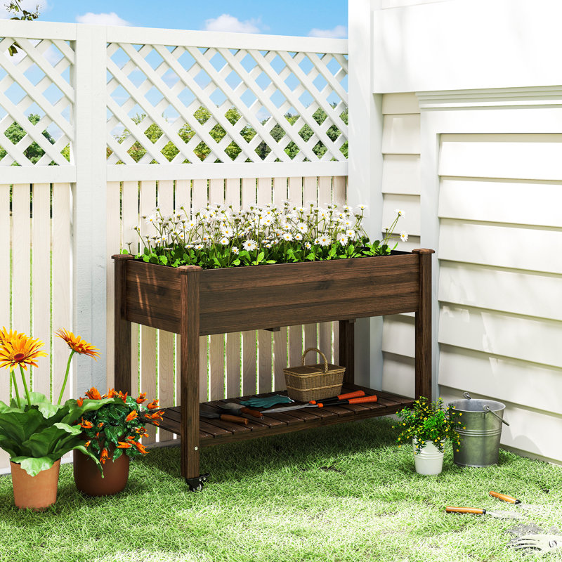 Lit de jardin surélevé, boîte à fleurs surélevée en bois, carbonisé