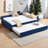 Twin Size Bed Frame, Upholstered Daybed with Trundle Velvet and MDF-1426184231