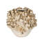 Tidala Handmade Ceramic Table Vase-1300584