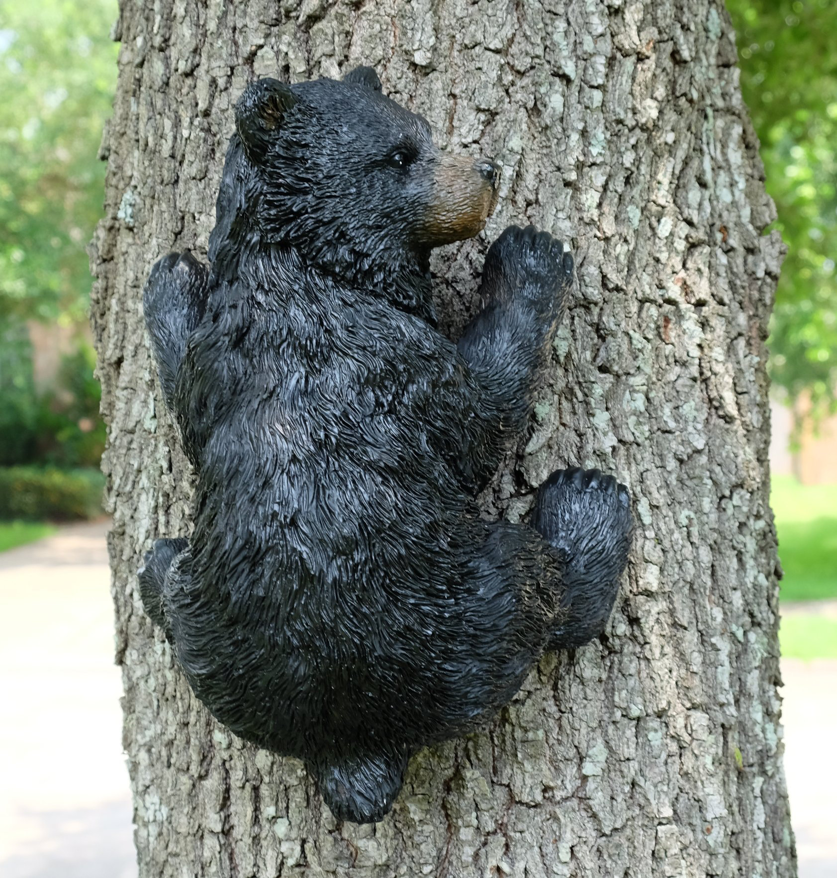 Bear Hugger Hanging Tree Figurine Outdoor Décor Loon Peak