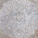 Oriental Area Rug