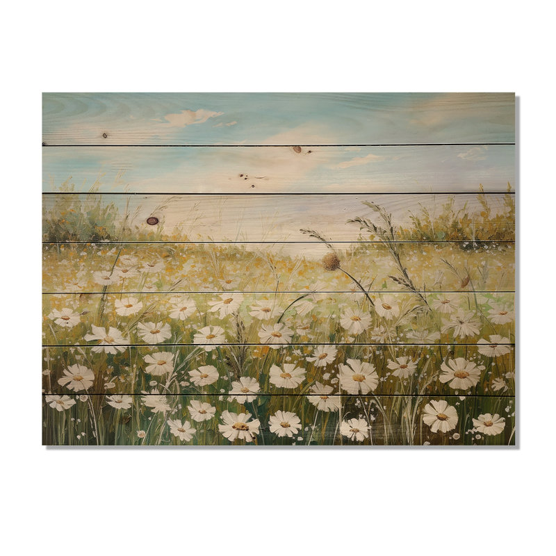 Fleurs de marguerites au soleil - Champ de fleurs, art mural sur bois de pin naturel, H 10 po x l 20 po