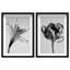 Peeking Flowers Set Shadowbox Floral & Botanical Print by Oliver Gal, Black Frame, 10 x 15-659888708-659888710