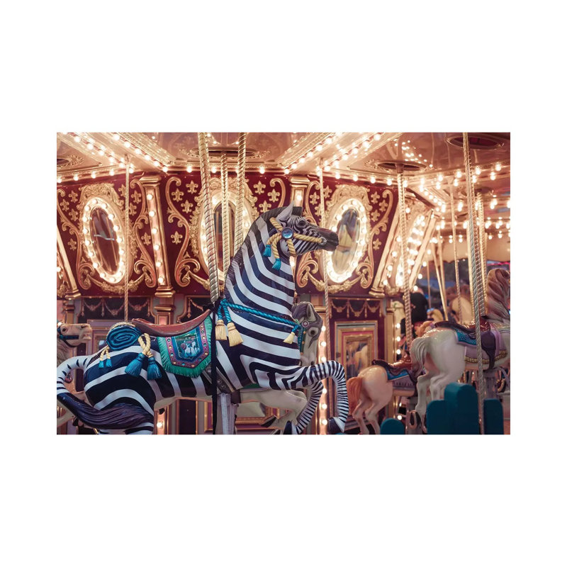 Zebra Carousel - Wrapped Canvas Print, 30.48 cm H x 45.72 cm W