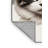 Washable Ragdoll Cats Area Rug-2015460385
