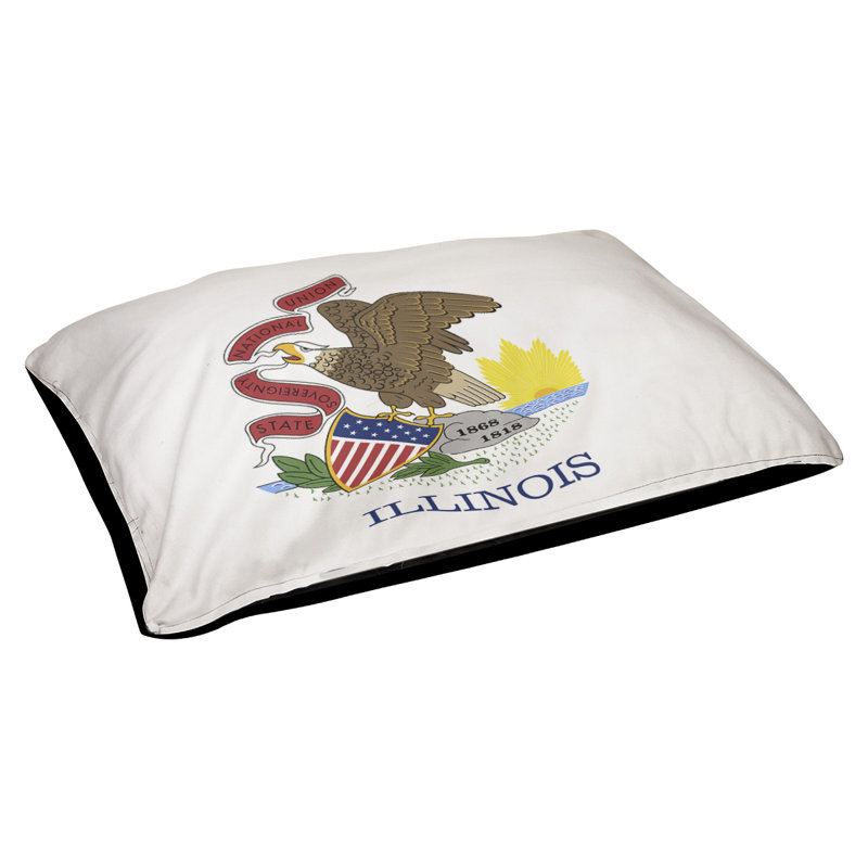 Coussin créateur pavillon illinois Burien, L 42 po x l 52 po, Noir