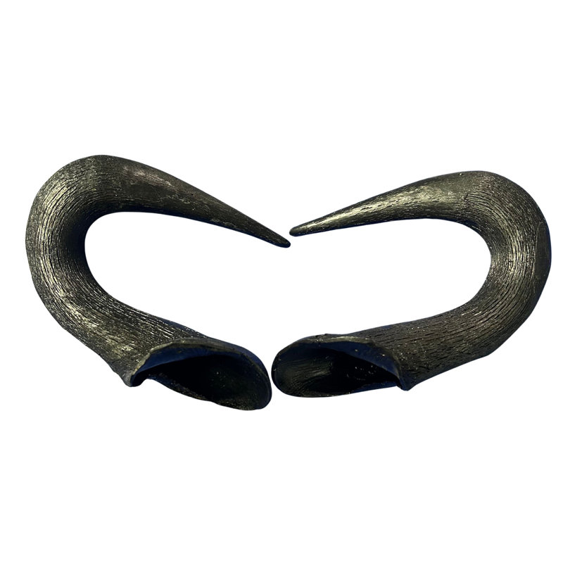 Real Blue Wildebeest Horn Set