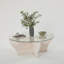 Glorias Coffee Table-106668422