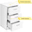 Assie Floor Shelf End Table-313424420