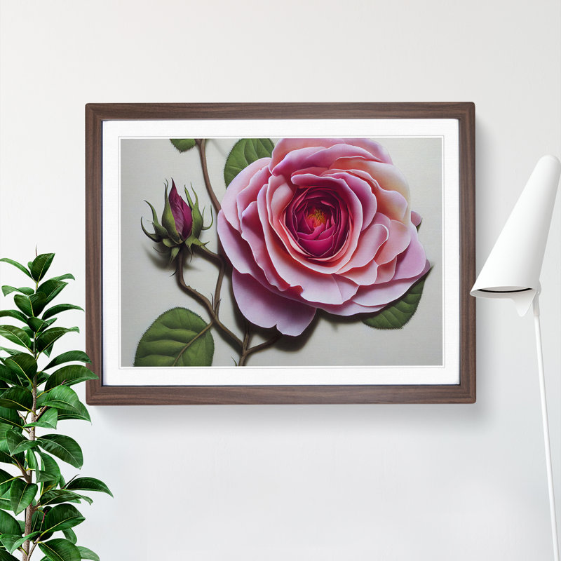 Extraordinary Rose Flower - Framed Print, 34cm H x 46cm W x 2cm D, Walnut