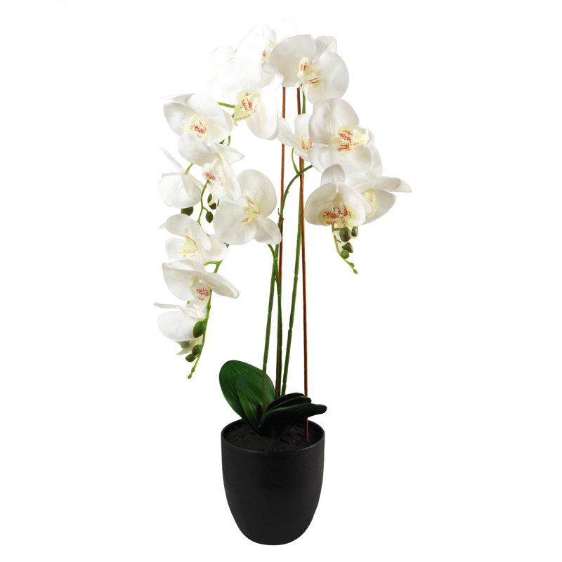 Fabric, Plastic, Faux Silk Artificial Arrangement in Planter, White