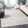 Oriental Indoor Rug