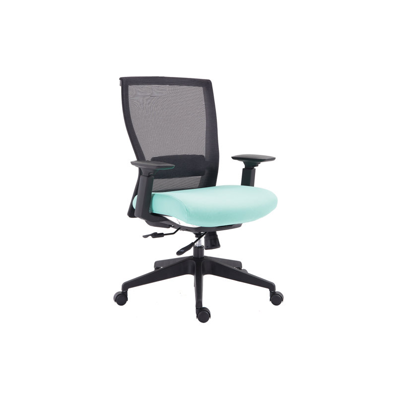 Chaise de bureau ergonomique à dossier en filet Mia avec accoudoirs lombaires réglables, Turquoise, Tissu
