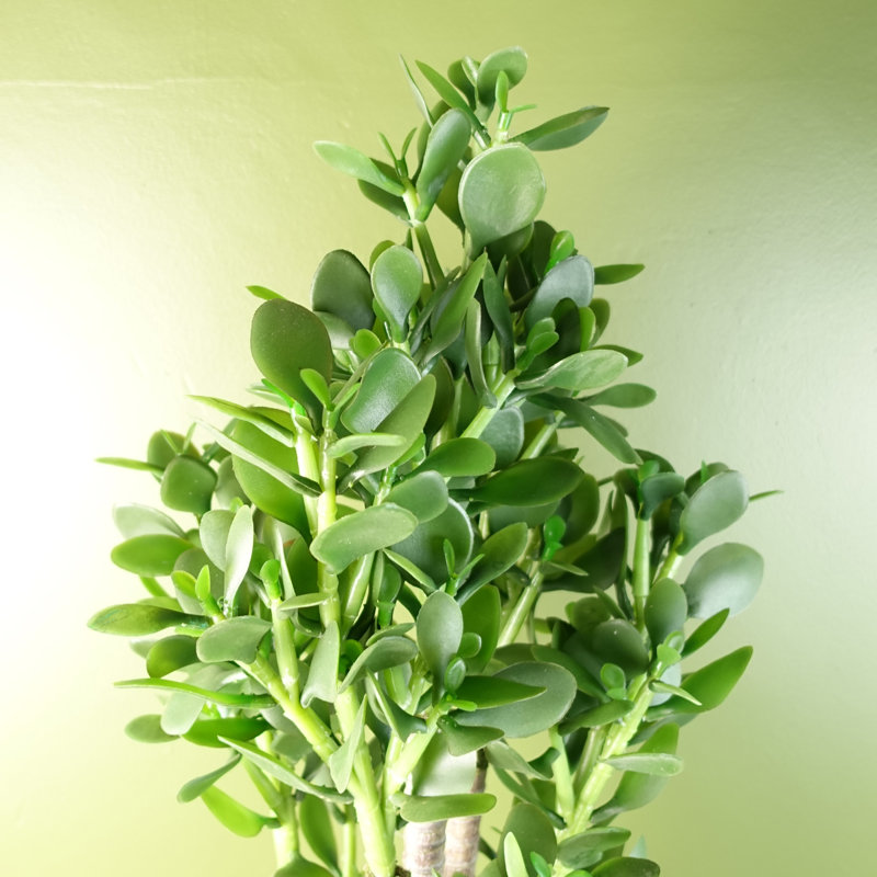 75cm Faux Evergreen Plant in Pot Liner