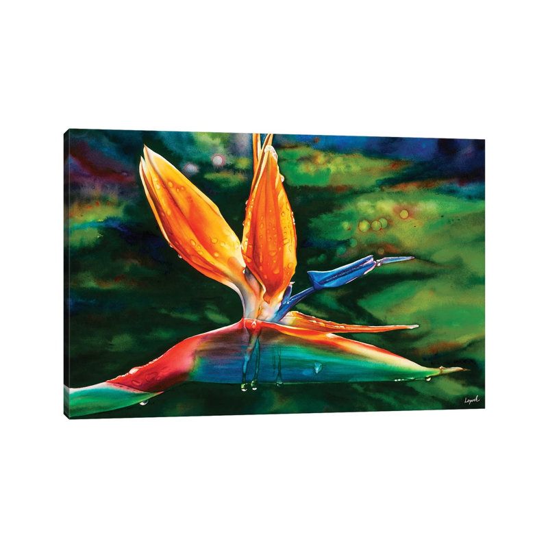 Morning Maui by Lisa Lopuck - Wrapped Canvas Print, 20.32 cm H x 30.48 cm W