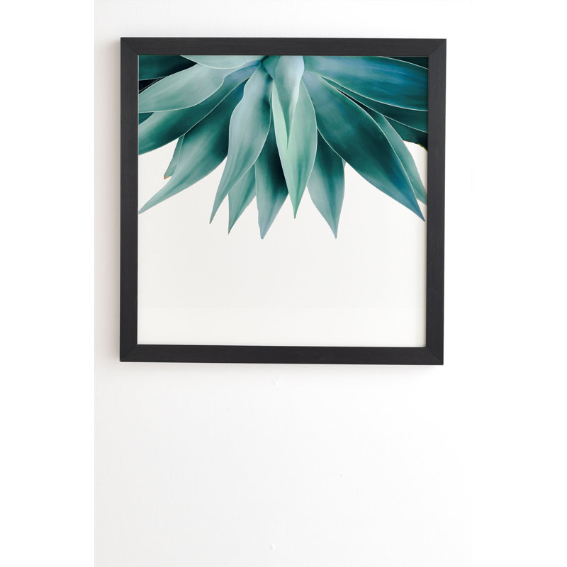 « agave frange », impression, H 20 po x l 20 po x P 2 po, Armature en bambou, Pas de tapis