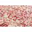 Oriental Indoor Rug-1862974067