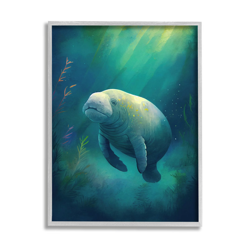 «Manatee Underwater View» par Enrico McGarrigle, Estampe numérique Farmhouse, H 20 po x l 16 po x P 1,5 po