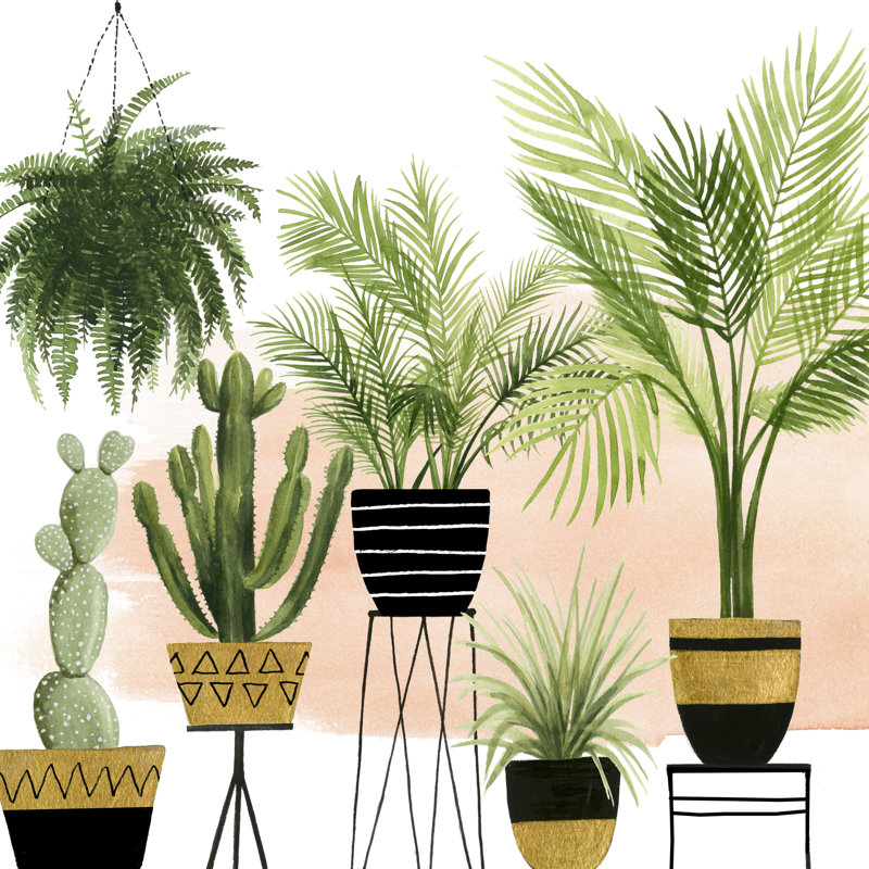 Indoor Oasis II by Grace Popp - Wrapped Canvas Painting, 76cm H x 76cm W x 3.8cm D