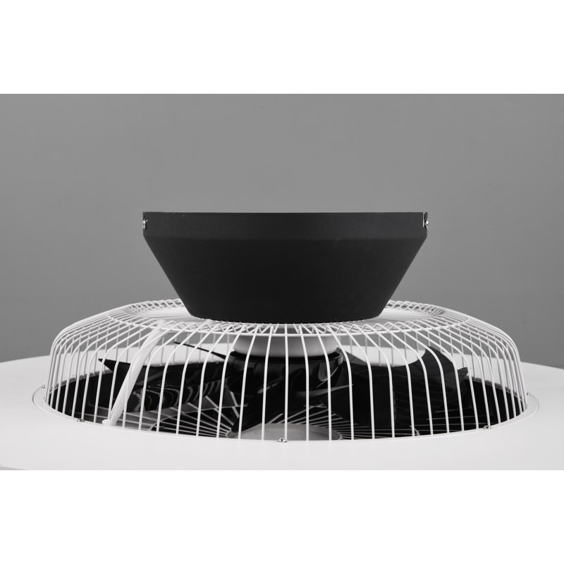 Aaleia 59cm Ceiling Fan with LED Lights