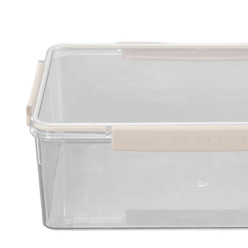 Rebrilliant Plastic Storage Tub & Tote