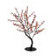 Bonsaïs illuminés et branches-22104822