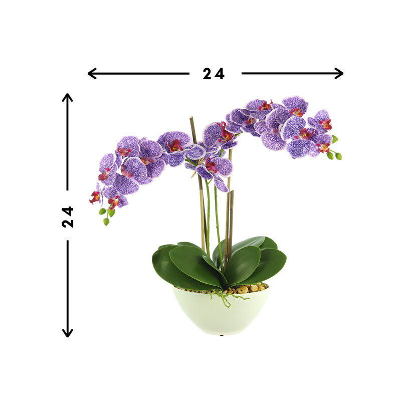 Orchid Arrangement in Vase, Purple