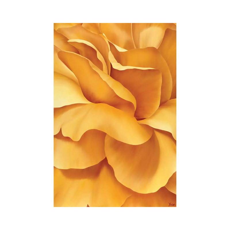 Magnificent Flower I by Yvonne Poelstra-Holzhaus - Wrapped Canvas Print, 66.04 cm H x 45.72 cm W