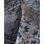 Overdyed Area Rug