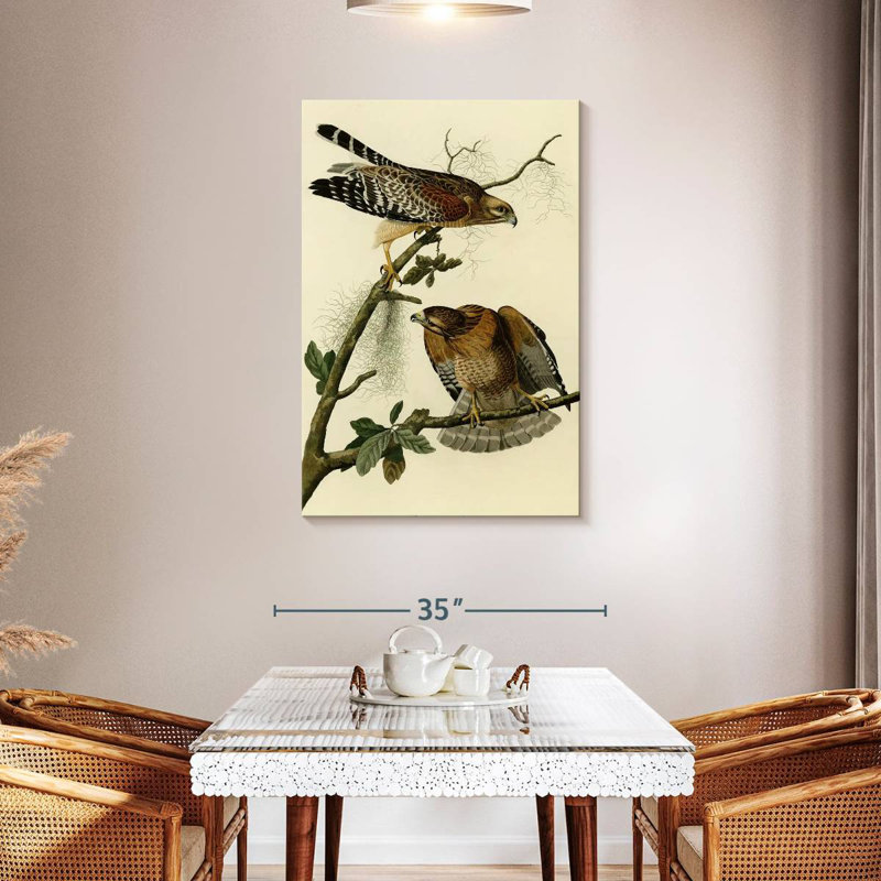 Brampt Red-Shouldered Hawk From Birds Of America, 45" H x 30" W